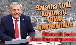 Milletvekili Ocaklı, Bakana Salarha TOKİ konutlarını sordu.