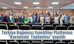 Türkiye Bağımsız Emekliler Platformu ‘’Karadeniz  Toplantısı’’ yapıldı