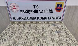 Milyonluk sahte dolar operasyonu