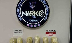 Yalova’da 14 kilo 600 gram skunk ele geçirildi