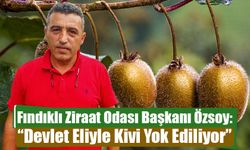 Fındıklı Ziraat Odası Başkanı Özsoy: “Devlet Eliyle Kivi Yok Ediliyor”