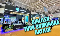 Çinliler Türk Somonuna bayıldı.