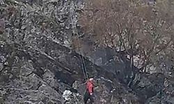 Batman’da 4 gündür kayalıklarda mahsur kalan keçiler AFAD ekiplerince kurtarıldı
