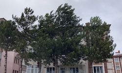 Çerkeş’te sağanak yağış ve fırtına elektrik kesintisini beraberinde getirdi