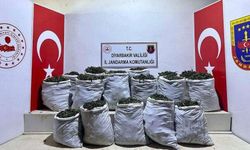 Diyarbakır’da 532 kilo esrar maddesi ele geçirildi