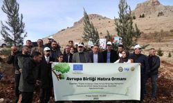 DTSO AB Bilgi Merkezi Ergani’de 10 bin ağaç dikti