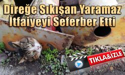 Direğe Sıkışan Yaramaz İtfaiyeyi Seferber Etti