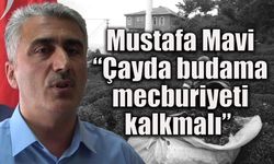 Çay üreticileri  budamada muafiyet istiyor