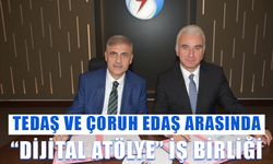 Tedaş ve Çoruh Edaş arasında "Dijital Atölye" iş birliği