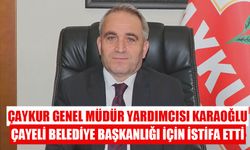 Çaykur Genel Müdür Yardımcısı Zeki Karaoğlu istifa etti.