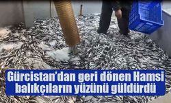 Türk karasularına giren hamsi balıkçıların yüzünü güldürdü