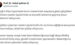 Bakan Işıkhan: "(Elazığ’daki maden göçüğü) Kazayı araştırmak üzere Bakanlığımıza bağlı başmüfettiş görevlendirildi"