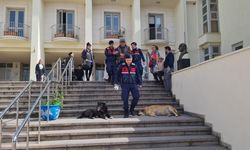 Bodrum’da 12 hayvanı zehirlediği iddia edilen şahıs yakalandı