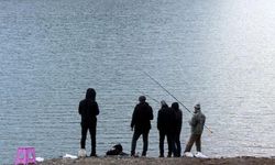 Fırat Nehri’nde siyanür nedeniyle balık ölümleri iddiası asılsız çıktı