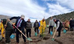 Amasya Orman Bölge Müdürü Özer: “Türkiye en çok ağaçlandırmada Avrupa’da 1. sırada”
