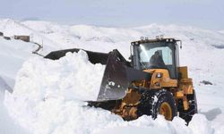 Bitlis’te karla mücadele çalışması devam ediyor