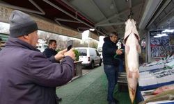 Siirt’te dev turna balıkları tezgahta yoğun ilgi gördü