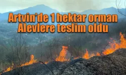 Artvin’de orman yangını 1 hektar alan yandı