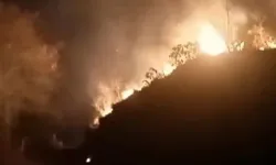 Rize’de ormanlık alanda yangın çıktı: 10 dönüm arazi zarar gördü