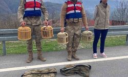 Bitlis’te keklik avcılarına 34 bin lira para cezası