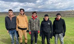 Edirne’de Bulgaristan’a kaçamaya çalışan 5 Mısırlı kaçak göçmen yakalandı