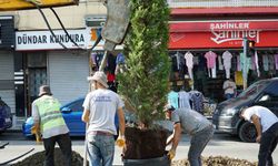 Kağıthane Belediyesi ilçeye 60 bin ağaç kazandırdı