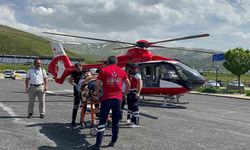 Arıların soktuğu hasta ambulans helikopterle Tatvan’a sevk edildi