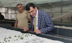 Başkan Eyüp Kahveci Tıbbi ve Aromatik Bitki Merkezini inceledi
