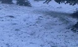 Çankırı’da mayıs ayında kar yağışı