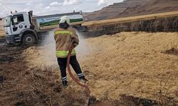 Derik’te 120 dönüm buğday tarlası kül oldu