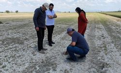 Karapınar’da tarım arazilerinde hasar tespit çalışmaları sürüyor