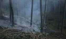 Menteşe’deki orman yangını büyümeden söndürüldü
