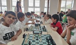 Sincik’te Satranç Turnuvası düzenlendi