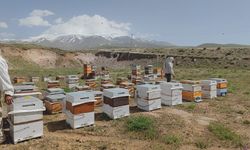 Süphan Dağı’nın eteklerinde üretim yapan arıcılar bu yıl yüksek rekolte bekliyor