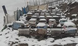 Mayıs ayının ortasında Anzer Yaylası’na çıkan vatandaşların kar şaşkınlığı