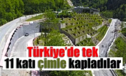 Türkiye’de tek: 11 katı çimle kapladılar