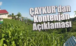 ÇAYKUR'dan kontenjan açıklaması