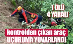 Çayeli'nde kontrolden çıkan araç uçuruma yuvarlandı: 1 ölü, 4 yaralı