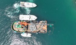 Kocaeli'de balıkçılığa yapay resif desteği... İlk resifler bırakıldı