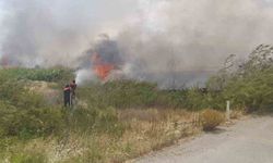 Burdur’da gün içinde çıkan yangınlarda 700 dekar alan ve 1 ev ile odunluk yandı