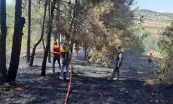 Denizli’de orman yangını kısa sürede kontrol altına alındı