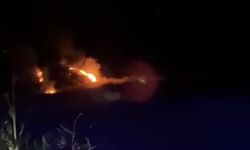 Denizli’de orman yangını kısa sürede söndürüldü