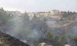 Denizli’deki orman yangınına  havadan ve karadan müdahale ediliyor