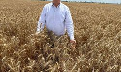Doğan: “Çiftçilerimiz, bu yıl da buğday fiyatlarının açıklanmasını bekliyor”