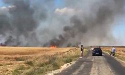 Edirne’deki yangında 20 bin dönümlük alanda 38 ton buğday kül oldu