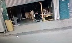 Köpeği kovaladı, güvenlik kamerasına ateş etti, dans ederek iş yerini kundakladı