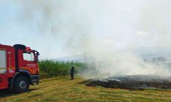 Manisa’da 2 günde 81 yangına müdahale edildi