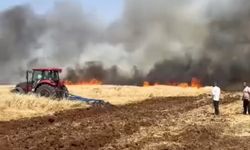 Mardin’de ekili arazide yangın, müdahale çalışmaları sürüyor