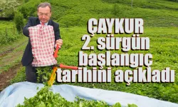 ÇAYKUR ikinci sürgün alımlarına başlıyor.