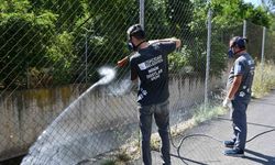 Üsküdar Belediyesi tarafından vektörlerle mücadele devam ediyor